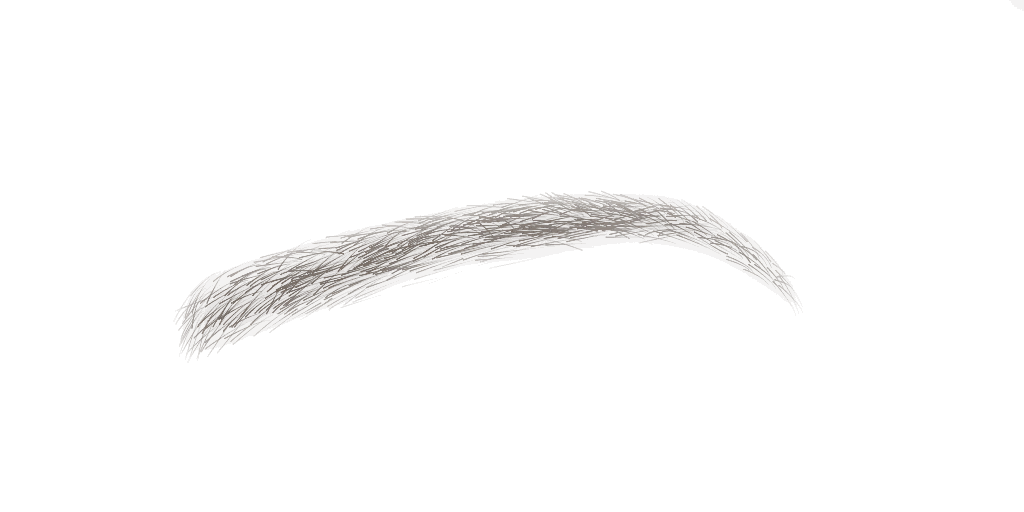 Natural Soft Brow