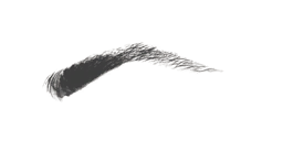 Defined Beauty Arch