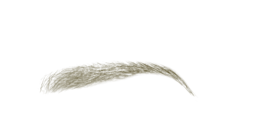 Soft Arch Brow